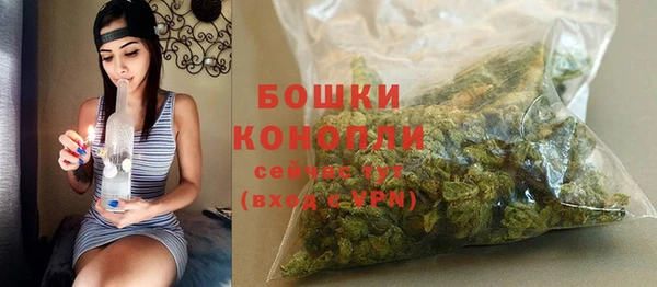 PSILOCYBIN Верхний Тагил