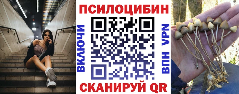 Псилоцибиновые грибы прущие грибы  Городище 