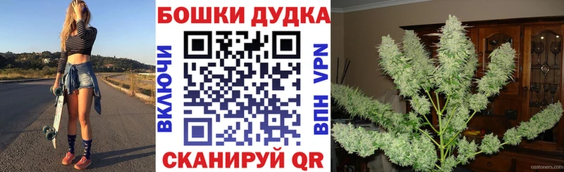 наркотики  Городище  Канабис Amnesia 